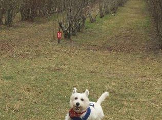 309 Weaver Loop, Georgetown, SC 29440