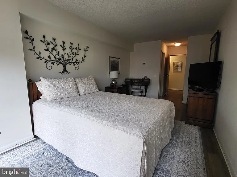 241 S 6th St #1202B — Photo 12