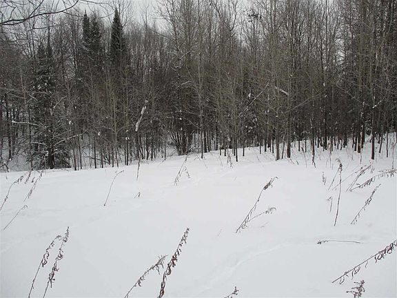 3rd image of +/-57.93 Acres Fawn Ave