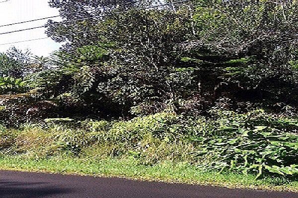 2nd image of Liona St Lot 53B6