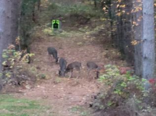 N6701 14th Ave #1, Almond, WI 54909