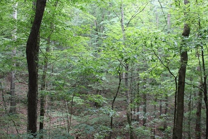 1st image of 0 County Road 60