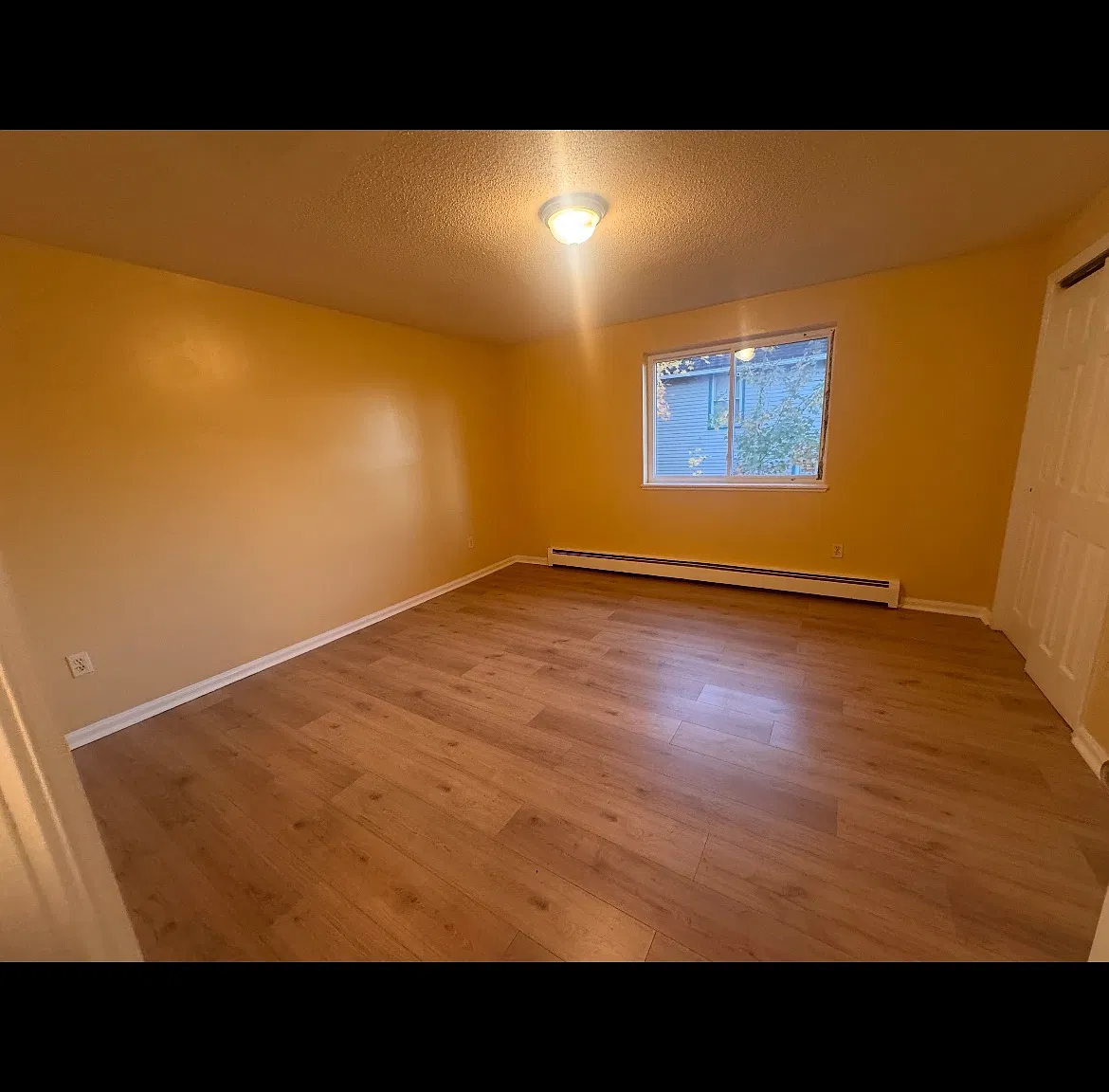 2 bed, 1.5 bath, $1,650 — Photo 3