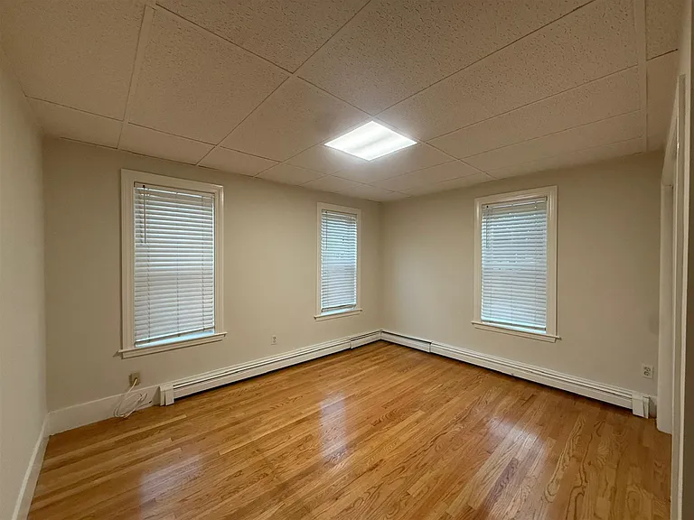 225 Albion St #1 — Photo 5