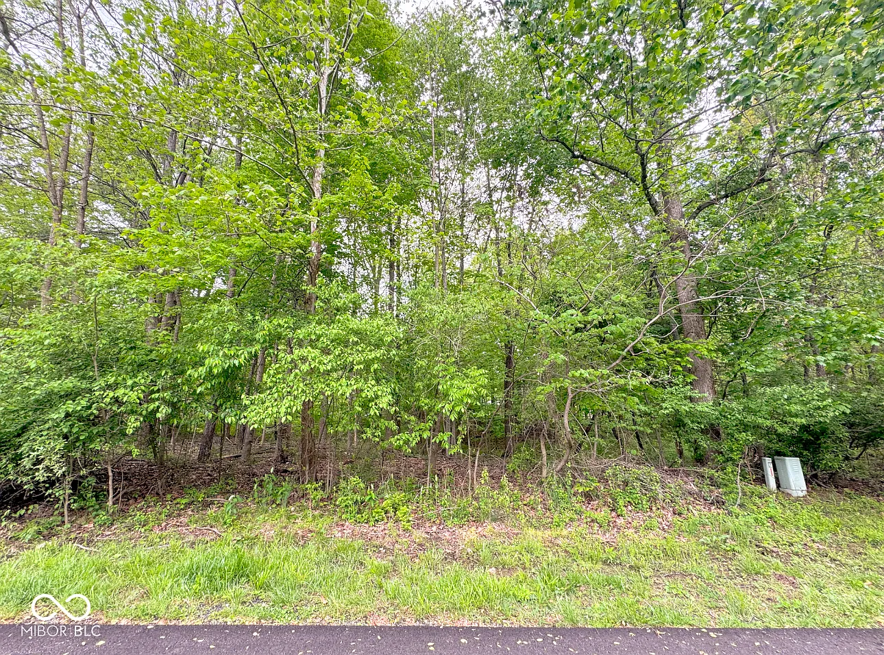 1555 Fox Cross Dr photo 1