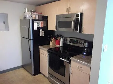 425 W Beech St #1301 — Photo 13