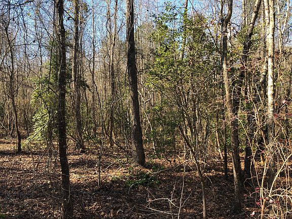 5th image of Tbd Roberdel School Road