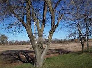 2nd image of 10004 N Ann Arbor Rd