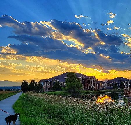 Beautiful sunset behind the complex
