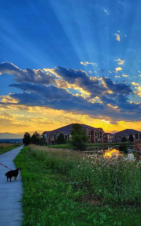 Beautiful sunset behind the complex