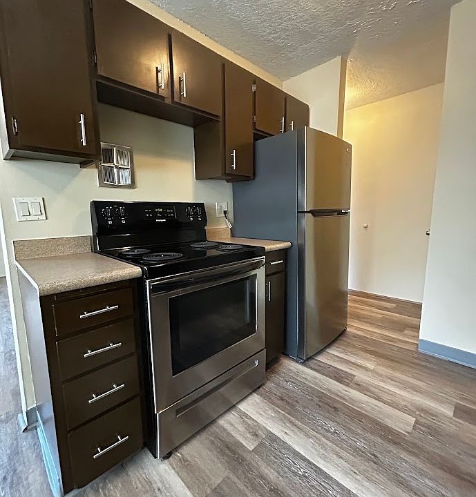 Stainless steel appliances including self cleaning oven
