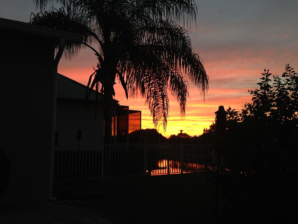 Picturesque Backyard Sunsets