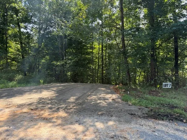 7 Slaughter Rd N Lot 7 & 8, Primm Springs, TN 38476