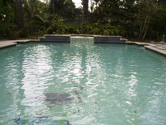 40 x 20 pool plus jacuzzi waterfall!