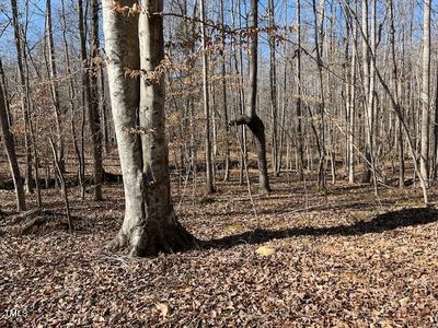 2B Cornerstone Ln #2-B, Timberlake, NC, 27583