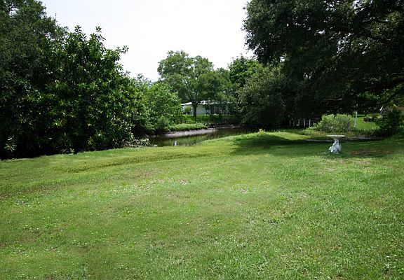 Back yard/McCay Creek