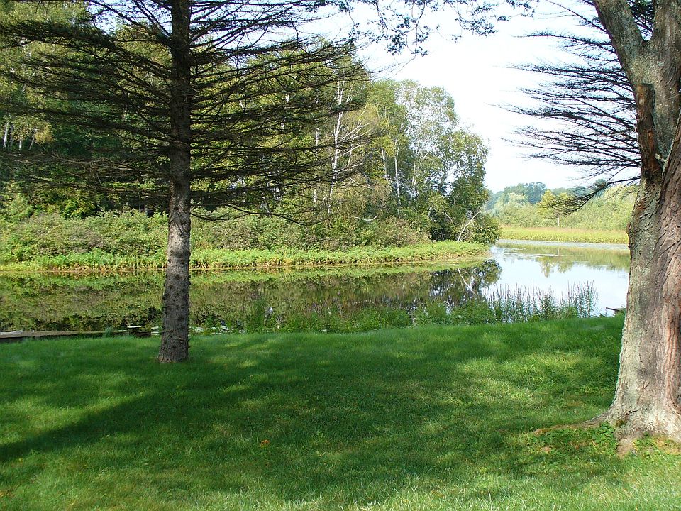 Tranquil view from back yard