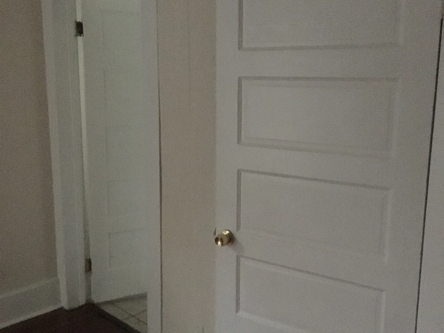 1436 Felicity St — Photo 3