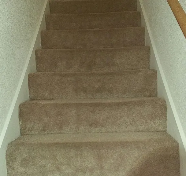 3204 Hereford Ln — Photo 3