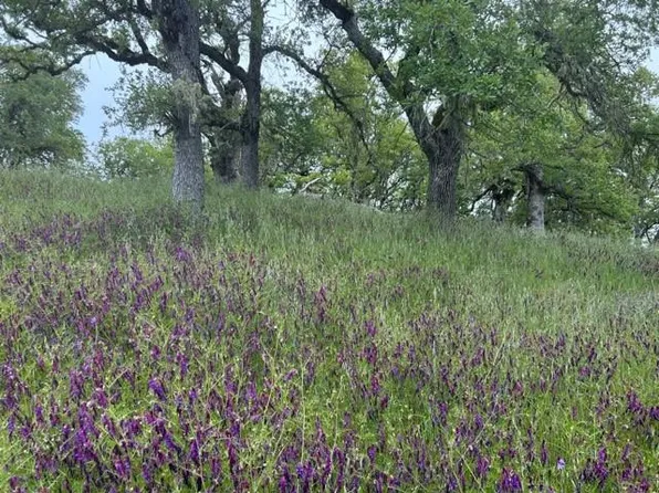 0 Lambert Flat Rd, Carmel Valley, CA 93924