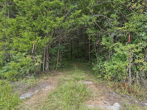 3rd image of 0 Old Nashville Hwy Lot 4