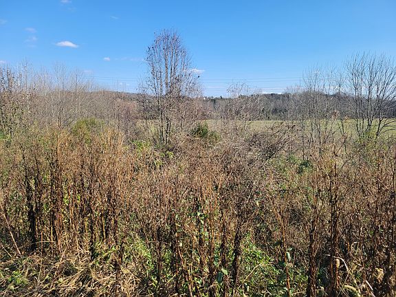 5th image of Tbd Gap Creek Rd