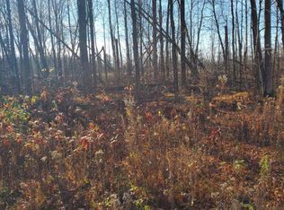 LT 0 Schmidt Dr, Pickerel, WI 54465