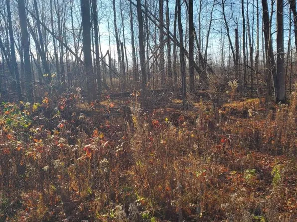 Lt0 SCHMIDT DRIVE, Pickerel, WI 54465