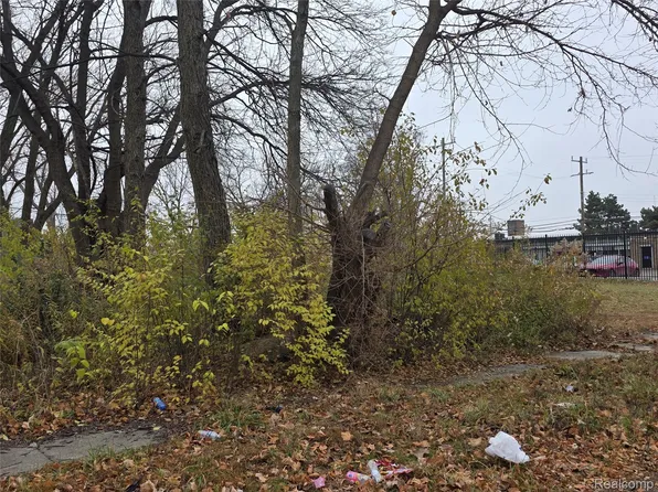 17163 Hawthorne St, Highland Park, MI 48203