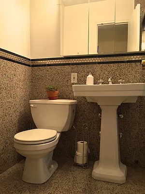 Rented by Manhattan Apartment Organization | media 45