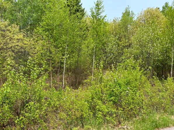 1616 S View Dr, Tomahawk, WI 54487