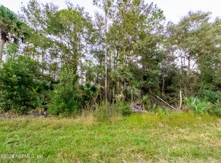 113 Laisy Dr, Georgetown, FL 32139