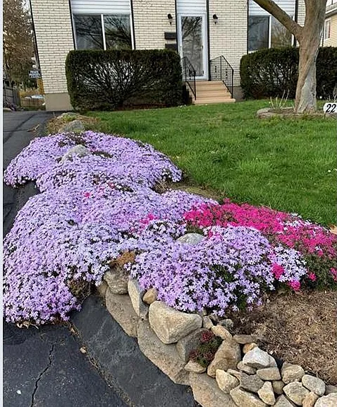 22 Mills St #1 — Photo 2