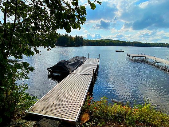 Mgmt 390 partial business plan 08 picture