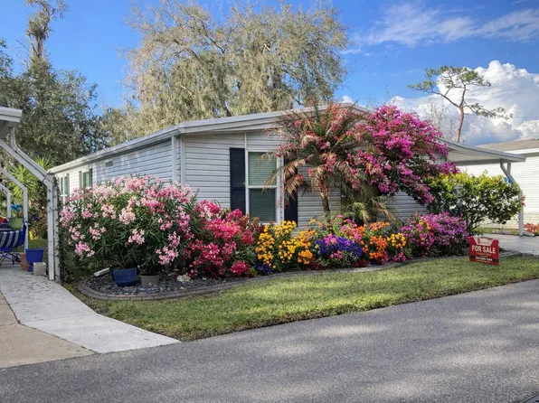 10005 King Oak Dr, Riverview, FL 33569