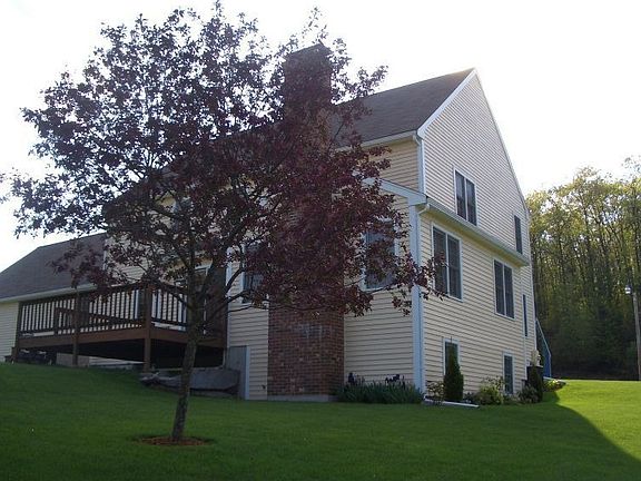 Back View