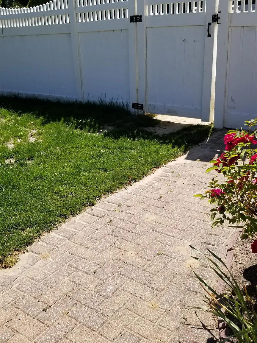 1 bed, 1.0 bath, 2103 sqft, $2,300 — Photo 1
