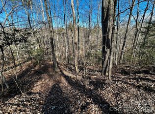 11 Blue Mist Mountain Rd, Whittier, NC 28789