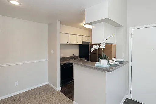 Westchase Creek Apartment Homes — Photo 44