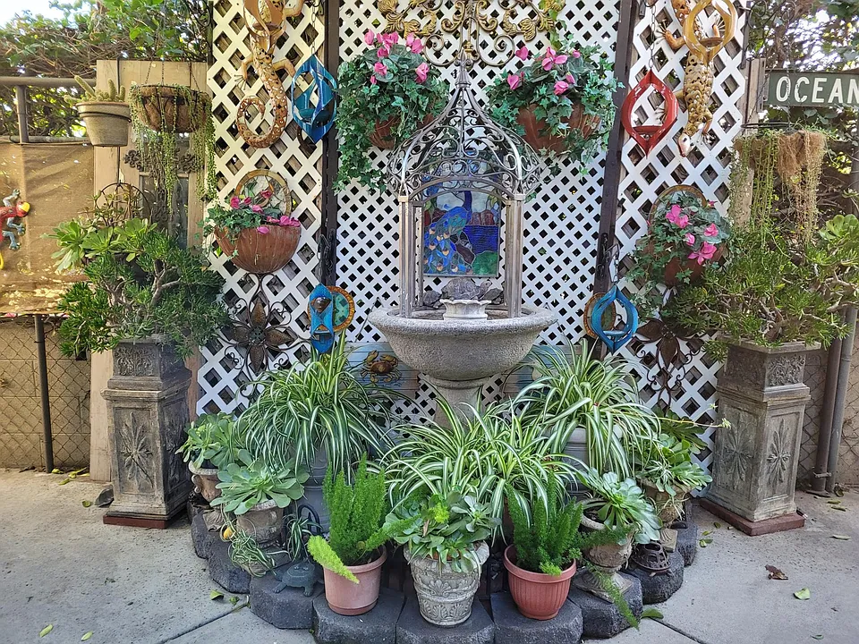 COURT YARD