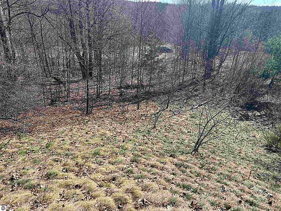 3rd image of LOT 2 Fox Trl