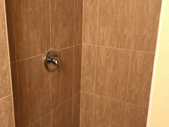 Master shower
