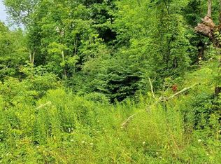 0 Pumpkin Hollow Rd, Oneonta, NY 13820