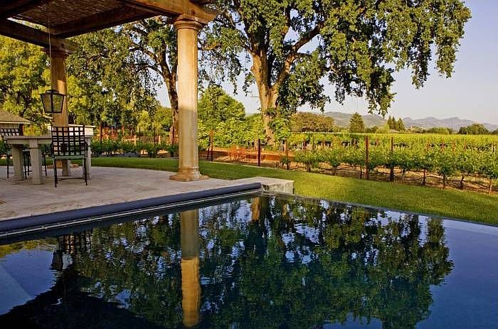 Infinity pool; vineyards
