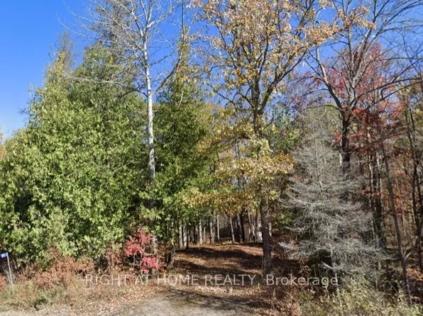 93 McCleary Rd, Marmora And Lake, ON K0K 2M0