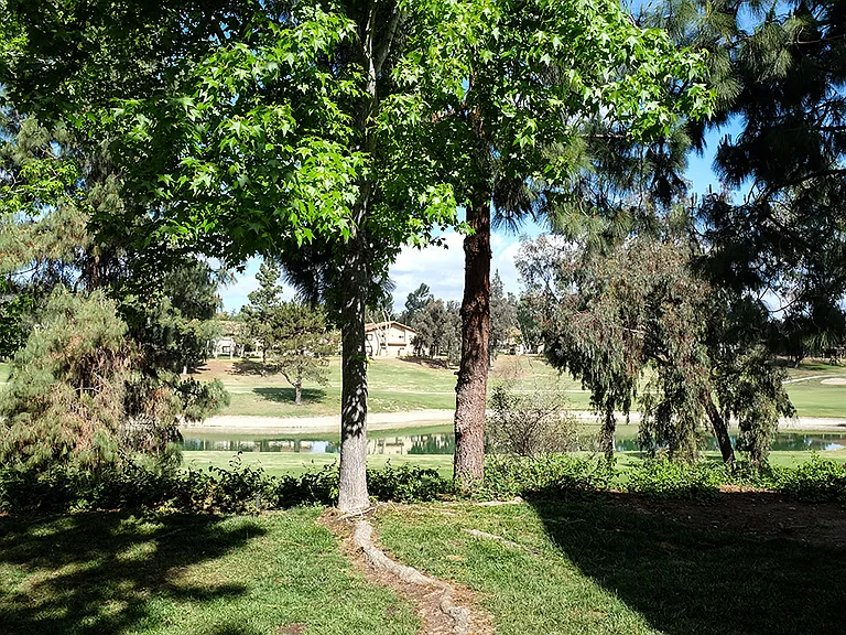 Shadowridge Summerwind — Photo 15
