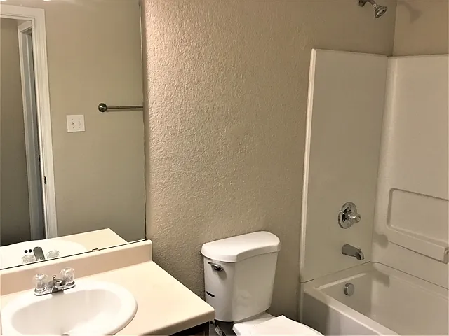 8715 Snow Goose — Photo 13