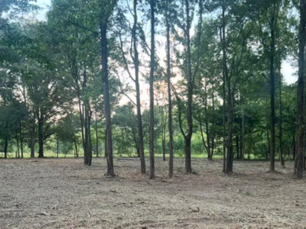 26ACRE S County Road 242, Moulton, AL 35650