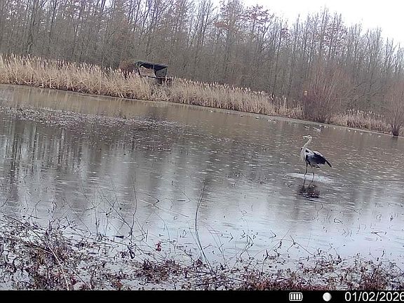 3rd image of (Undisclosed Address)