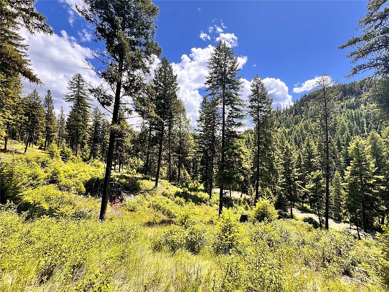 2nd image of 0 TBD Old Kettle Falls Road